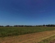 Conestoga Trail, Angleton image