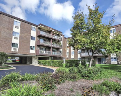 1311 S Finley Road Unit #306, Lombard
