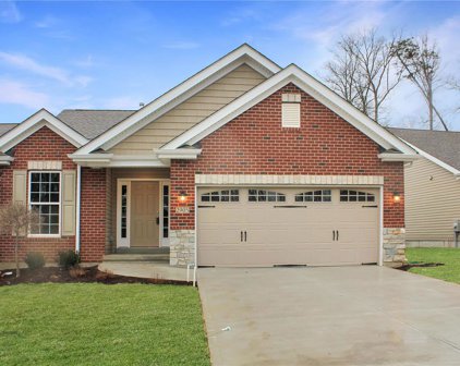 2905 Strawberry Ridge  Drive, Arnold