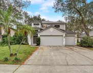2453 Sweet Oak Street, Ocoee image
