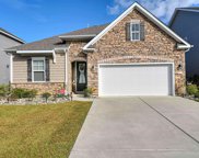 216 Rolling Woods Ct., Little River image