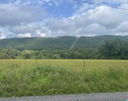 00 County Road 42 Unit 109, Oneonta image