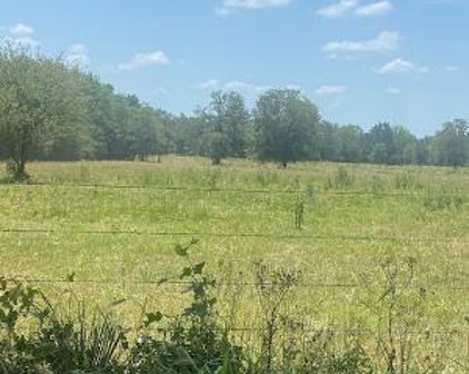 000 County Road 117, Bedias