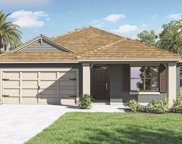 1273 Alstonia Lane, Mount Dora image