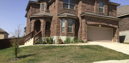 11135 Silver Thistle, San Antonio
