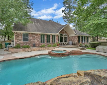 7 Graylin Woods Place, The Woodlands