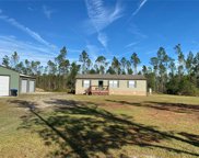 330 Volusian Forest Trail, Pierson image