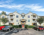 17217 Doe Valley  Court, Cornelius image