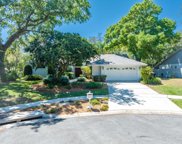 12102 Wood Duck Place, Temple Terrace image