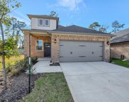 17506 Rosette Grass Drive, Conroe image