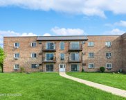 159 W Elk Trail Unit #356, Carol Stream image
