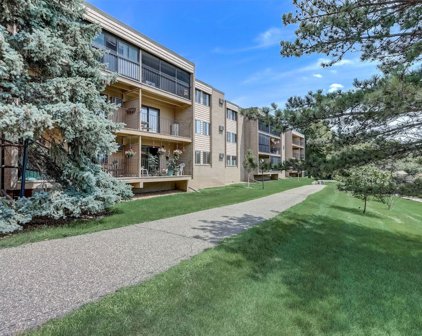 5627 Green Circle Drive Unit #212, Minnetonka