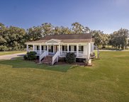 44299 Gold Place Rd, St Amant image