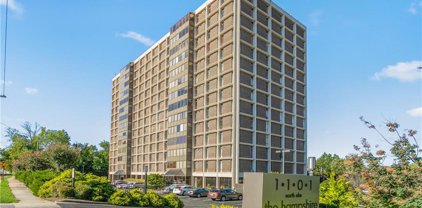 1101 N Elm Street Unit #706, Greensboro