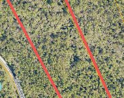 980 Morris Pike Way, Pierson image