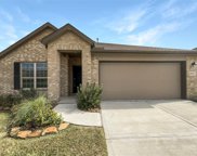 19119 Pinewood Grove Trail, New Caney image