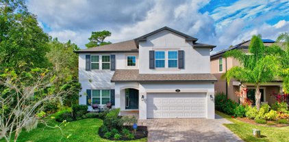 1531 Leaf Flower Lane, Lutz