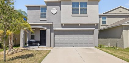 10151 Golden Wonder Lane, Riverview