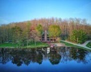 100 W Adams, Lincoln Twp image