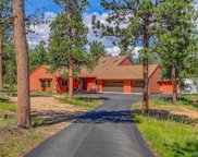 411 Spring Drive, Pine image