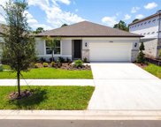 12965 Brookside Moss Drive, Riverview image