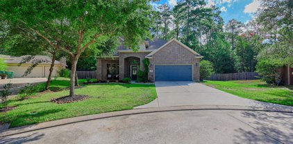 1800 Leela Springs Drive, Conroe