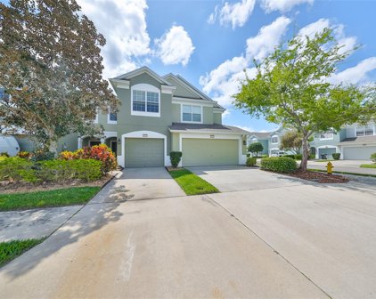 10205 Red Currant Court, Riverview