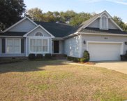 824 Mount Gilead Place Dr., Murrells Inlet image