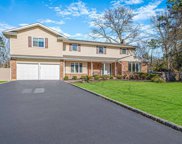 6 Chasso Court, Dix Hills image