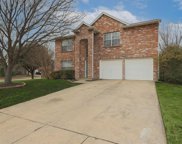 8101 Flowertree Drive, Fort Worth image