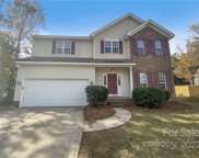 149 Nims Spring  Drive, Fort Mill image
