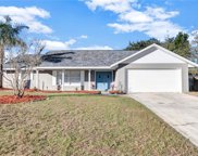 4547 Mohican Trail, Valrico image