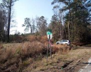 TBD Highway 701 South, Conway image