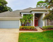 1703 Anglers Court, Safety Harbor image