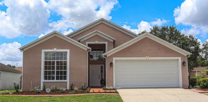 4101 Copper Canyon Blvd, Valrico