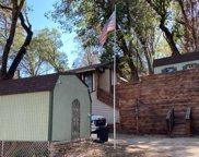 45819 Guhl, Posey image