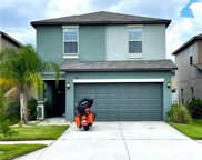7416 French Marigold Avenue, Tampa image