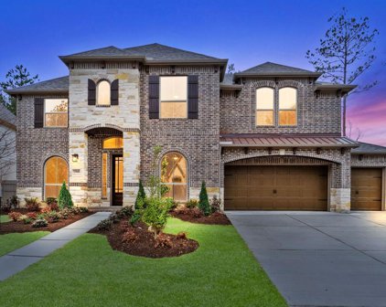 17584 Watercolor Way, Conroe