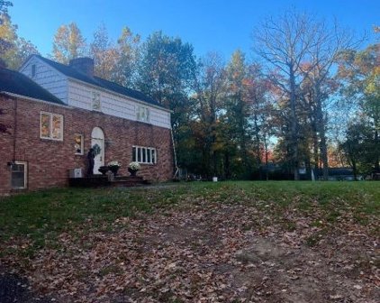 48 Sycamore Ave, Livingston Twp.