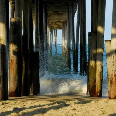 NAGS HEAD