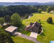 234 Shadow Bend Drive, Odenville image