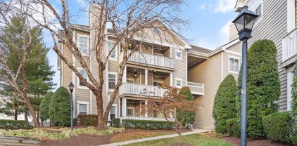14300 Grape Holly Grv Unit #13, Centreville