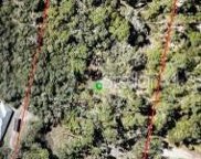 4646 N Orange Grove Drive, De Leon Springs image