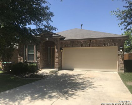 6310 Black Bear, San Antonio