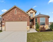 10113 Bricewood Pl, Helotes image