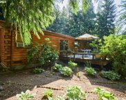 11706 NE SPURREL RD, Woodland image