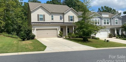 3043 Cedric  Court, Fort Mill