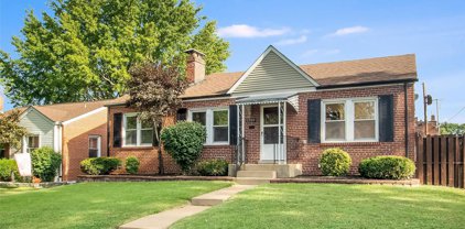 6919 Plainview  Avenue, St Louis