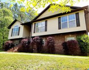 105 Whispering Way, Odenville image