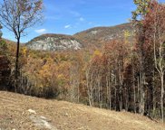 219 Craggy Rock Lane, Landrum image